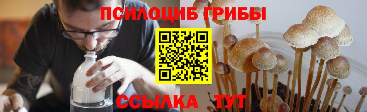 Псилоцибиновые грибы мухоморы  Вход с VPN  Майский  купить наркотик  Галлюциногенные грибы мицелий 