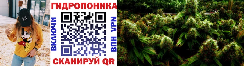 Шишки марихуана ГИДРОПОН Майский